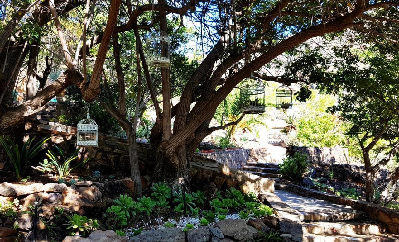 Montagu Little Sanctuary - Hot Spring Access At Reduced Price Apartamento Exterior foto