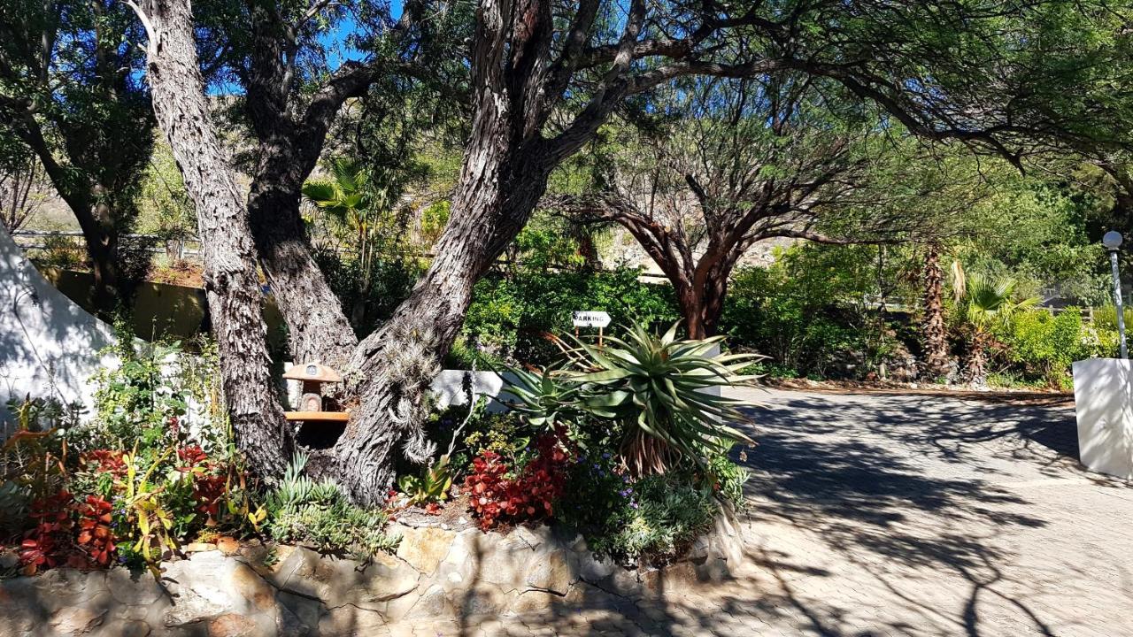 Montagu Little Sanctuary - Hot Spring Access At Reduced Price Apartamento Exterior foto