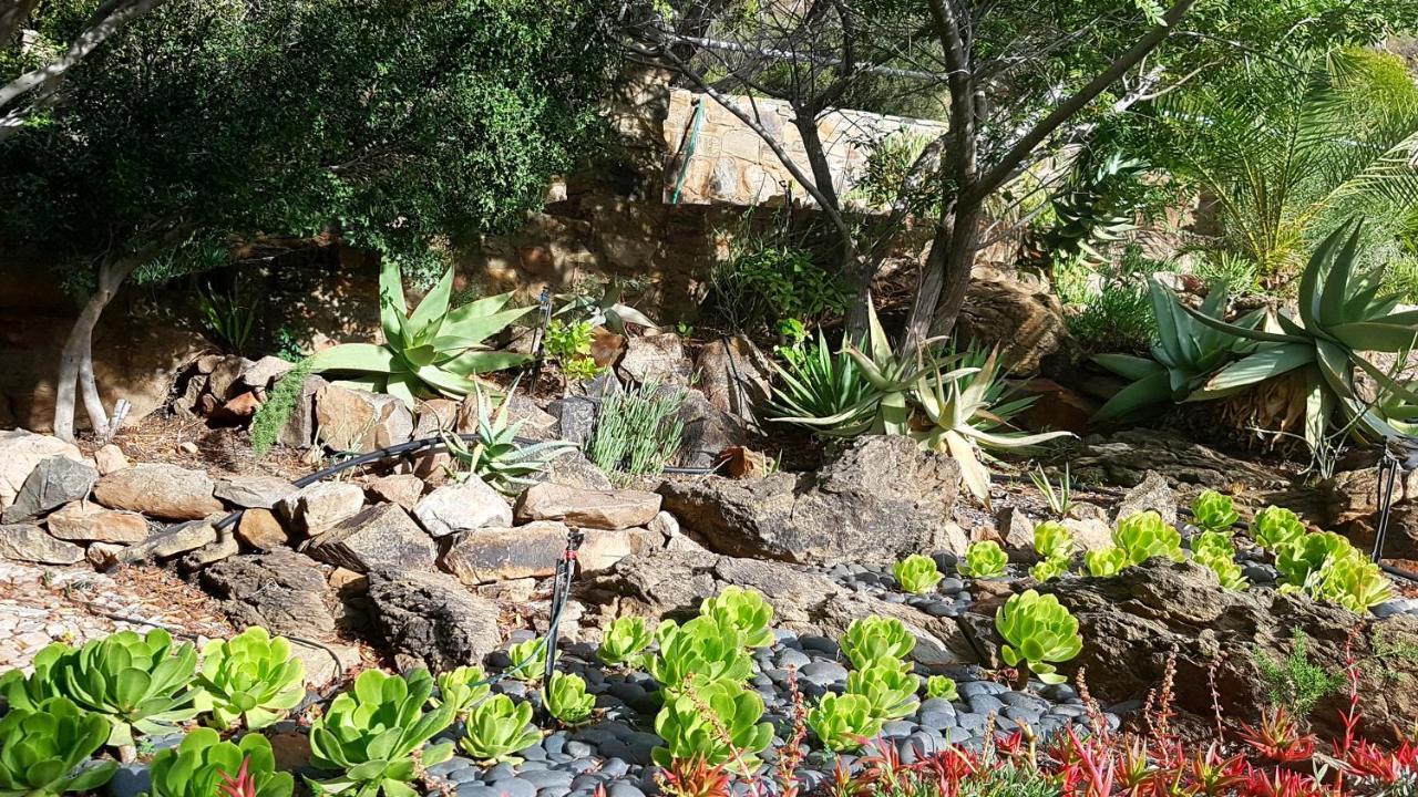 Montagu Little Sanctuary - Hot Spring Access At Reduced Price Apartamento Exterior foto